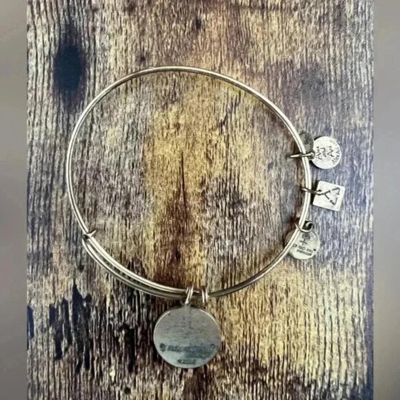 Alex and Ani | Lighthouse, Expandable Rafaelian Bangle Bracelet. - Picture 8 of 13